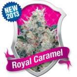 Royal Caramel