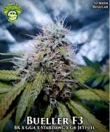 Seattle Chronic Seeds Bueller