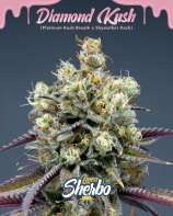 Secretfile Genetic Diamond Kush Linea Sherbo