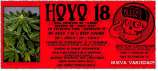 Seedbleed Hoyo 18