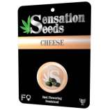 Sensation Seeds Cheese