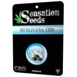 Sensation Seeds Medijuana CBD