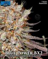 Sin City Seeds Blue Power BX2