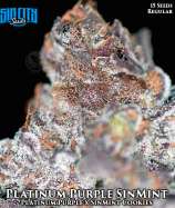 Sin City Seeds Platinum Purple SinMint