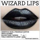 South Bay Genetics Wizard Lips