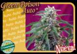 Sweet Seeds Green Poison Auto