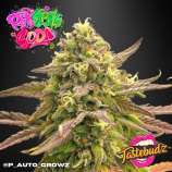 Tastebudz Seeds Pink Apple Soda