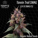 TerpyZ Mutant Genetics Tannin Trail SWAG