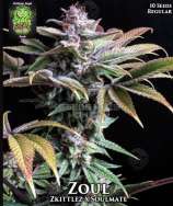 Trichome Jungle Seeds Zoul
