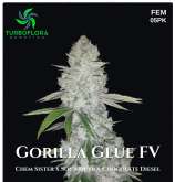 Turbo Flora Genetics Gorilla Glue FV