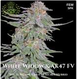 Turbo Flora Genetics White Widow x Ak47 FV