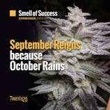 Twenty 20 Genetics Smell of Success