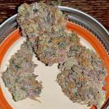 Viking Gardens Wild Berry Zkittlez AutoFlower