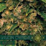 Vision Seeds Vision Critical