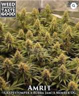 Weed Should Taste Good Amrit