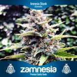 Zamnesia Amnesia Skunk Automatic