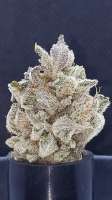 Imagen de 517legendseedco (Cake Face)