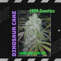 808 Genetics Dinosaur Cake - photo réalisée par SquallyGrowzit