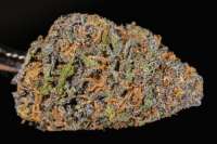 Imagen de Hondo13 (Grape Juice OG)