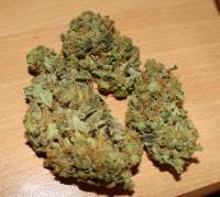 Imagen de raPster (Pineapple Chunk)