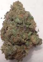 Imagen de GreenCranium (Grandpas Breath)