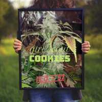 Garden of Green Girl Scout Cookies - photo réalisée par JONEYBIGWEED