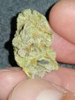 Imagen de BudBro (TrainWreck)