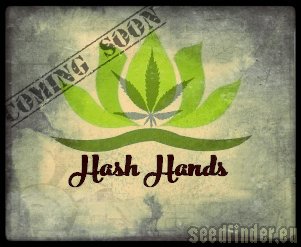 Hash Hands Green Mountain Skunk #1