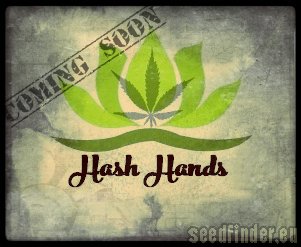 Hash Hands Strawberry Clouds