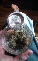 Imagen de 420meowmeowmeow (Green Demon OG)