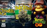 Imagen de Justin108 [Sour Power OG]