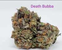 Sea to Sky Alternative Healing Death Bubba - photo réalisée par TheHappyChameleon