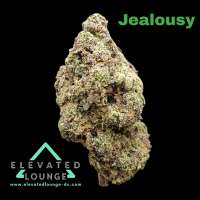Pic for Jealousy (Seed Junky Genetics)