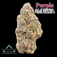 Short Stuff Seedbank Auto Purple Amnesia - photo réalisée par ElevatedLoungeDC