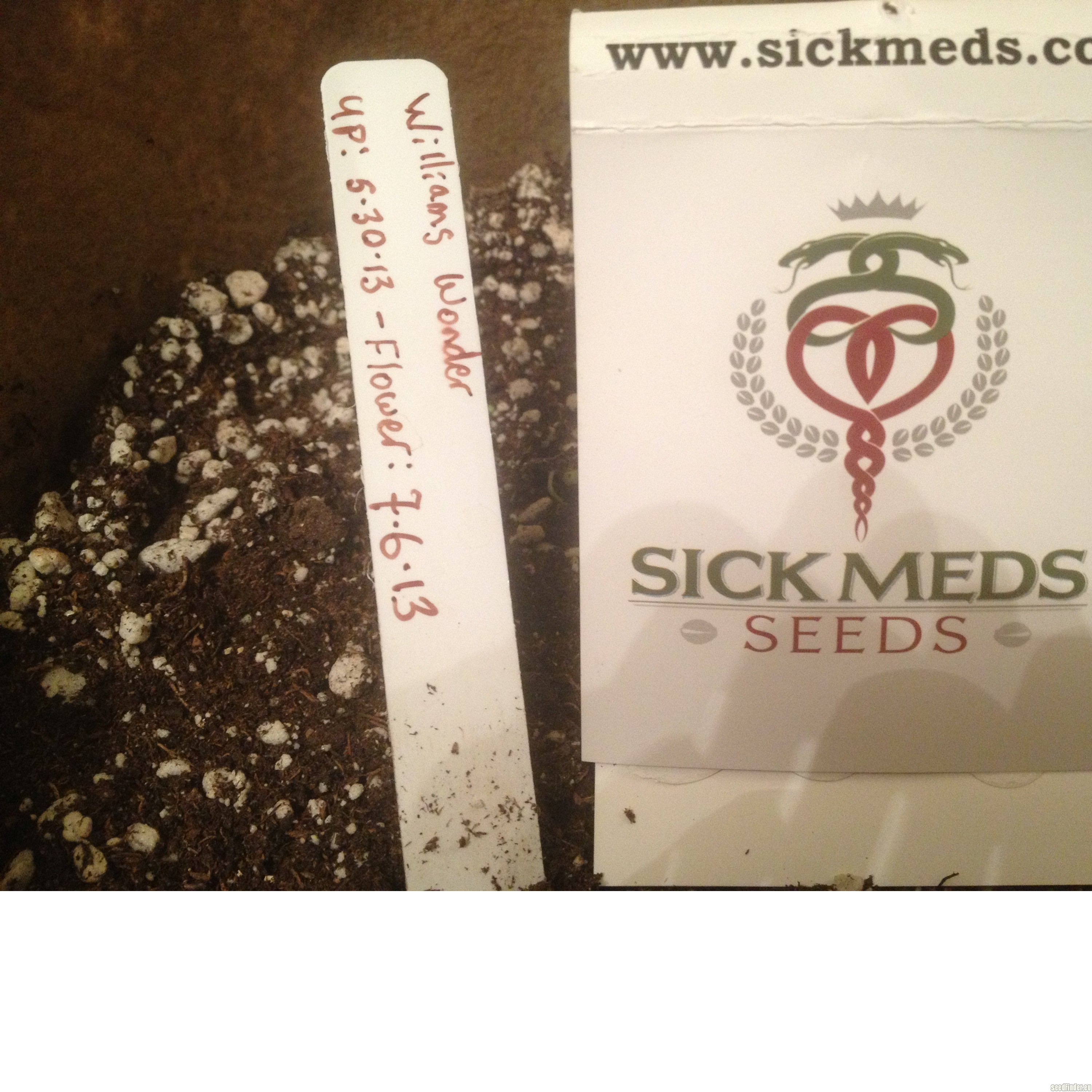 SickMeds Seeds William's Wonder