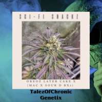 Talez Of Chronic Sci-Fi Snackz - photo réalisée par Talezofchronic1