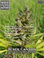Weed Should Taste Good Black Canyon - photo réalisée par WeedShouldTasteGood